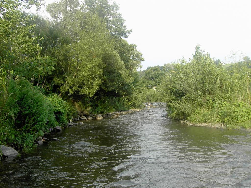 Pensiunea Sovirag Praid Exterior foto