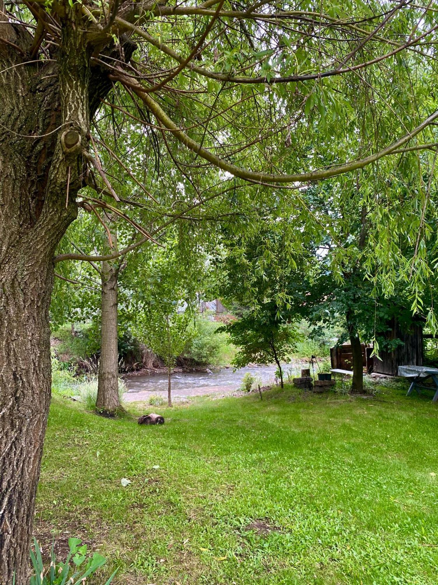 Pensiunea Sovirag Praid Exterior foto