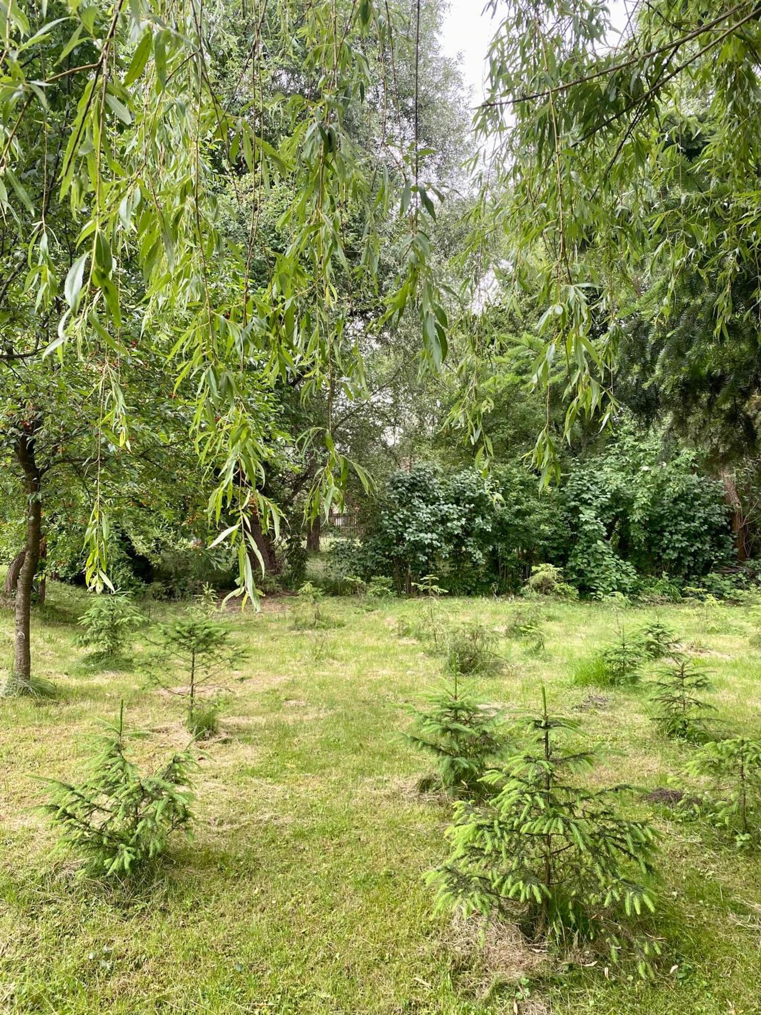 Pensiunea Sovirag Praid Exterior foto